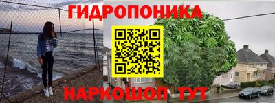 прущая мука Будённовск