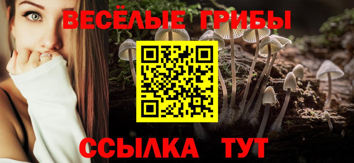 Псилоцибиновые грибы мухоморы Рузаевка