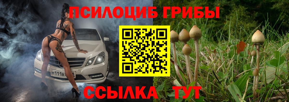 Галлюциногенные грибы мухоморы  где купить наркотик  Рузаевка  Псилоцибиновые грибы мухоморы  Вход с VPN 